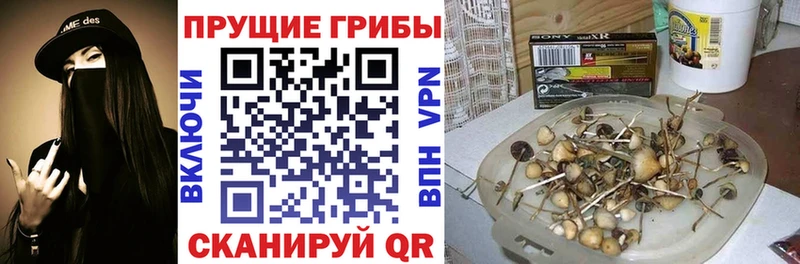 Псилоцибиновые грибы Psilocybine cubensis  где найти наркотики  Ефремов 